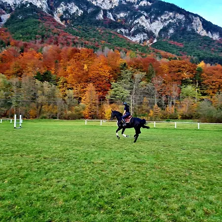 The * Reichenau an der Rax